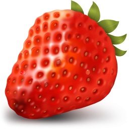 草莓文件加密器v2.0 最新版