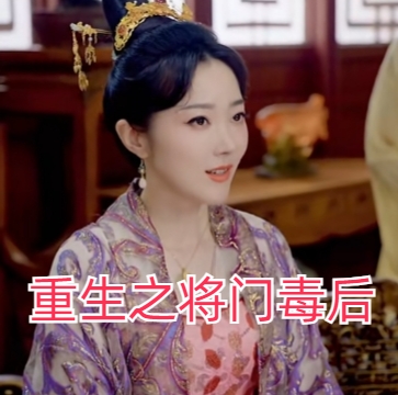 重生之将门毒后完整版