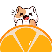 果皮小说app官方版