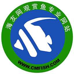 海友网论坛app